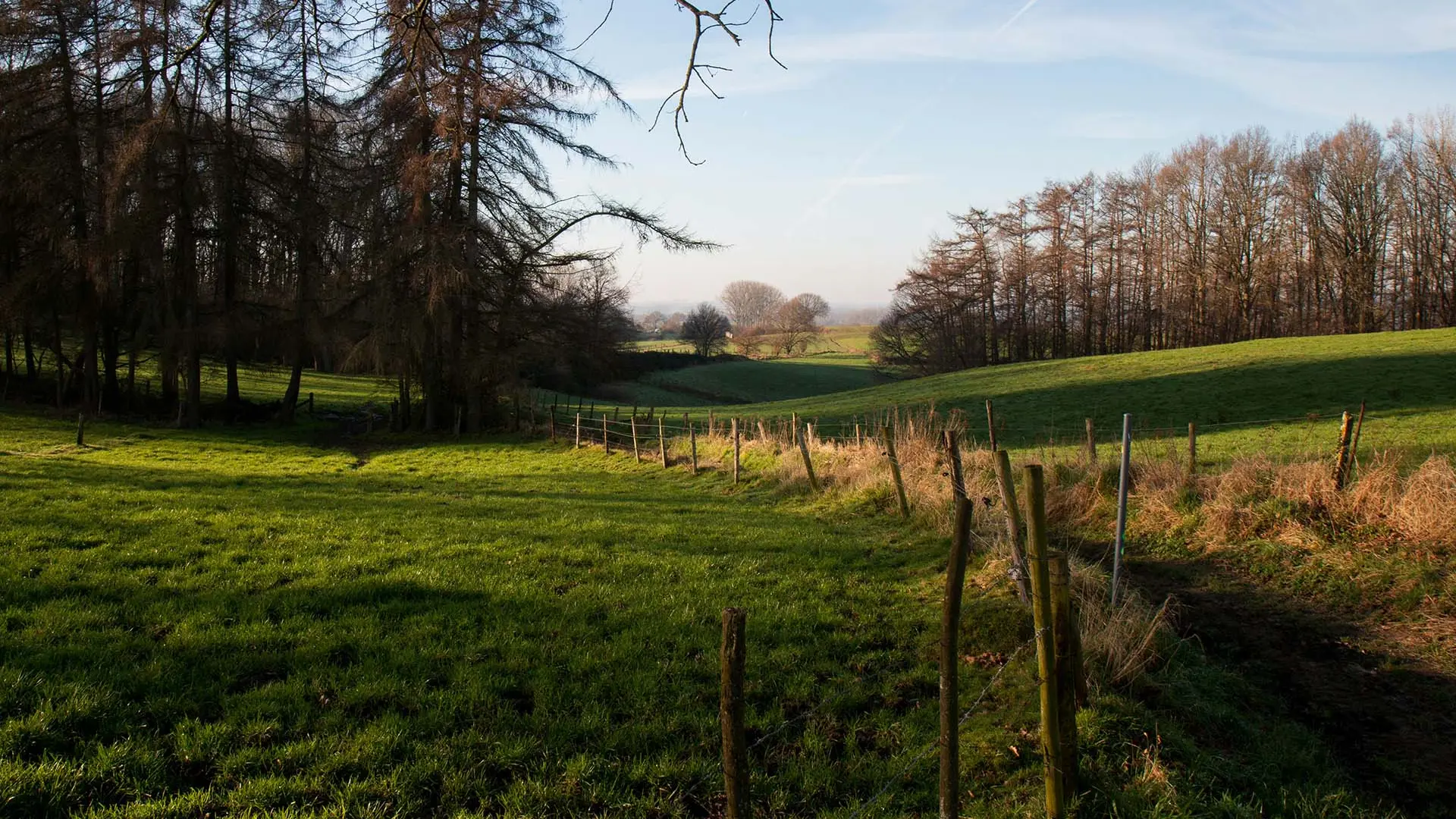 Hageland Leuven